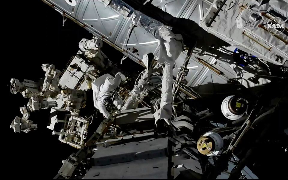 μικρόβια-και-μύκητες-κάτοικοι-του-διε-2309798