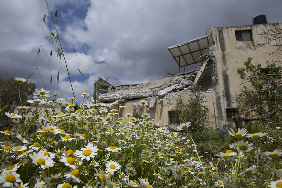 φωτογραφήματα-2311868