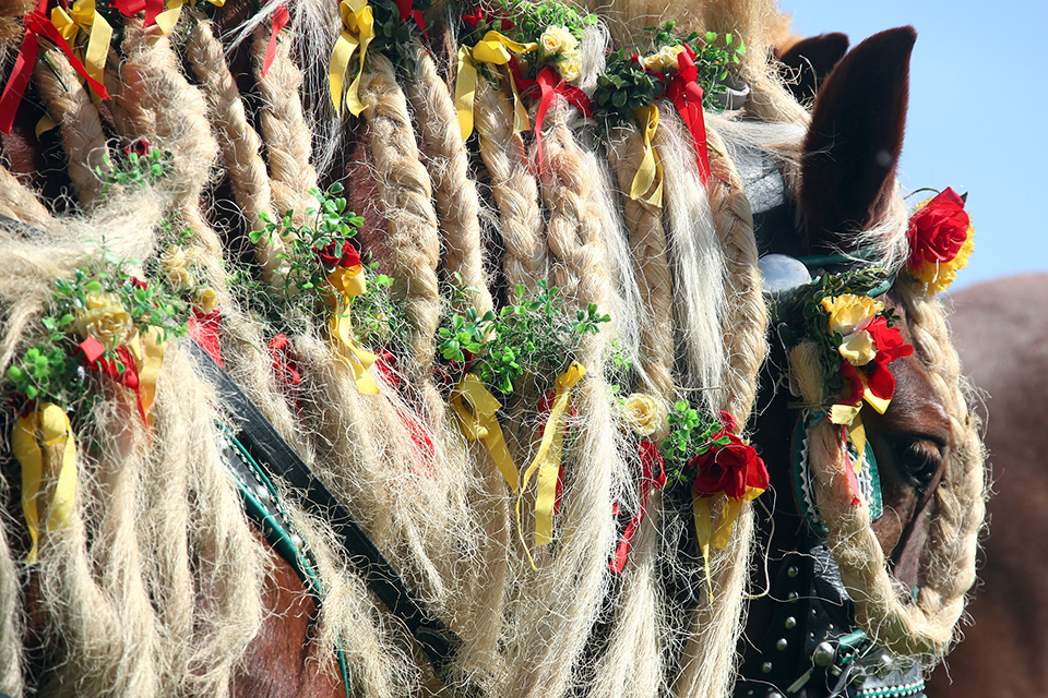 φωτογραφήματα-2312769