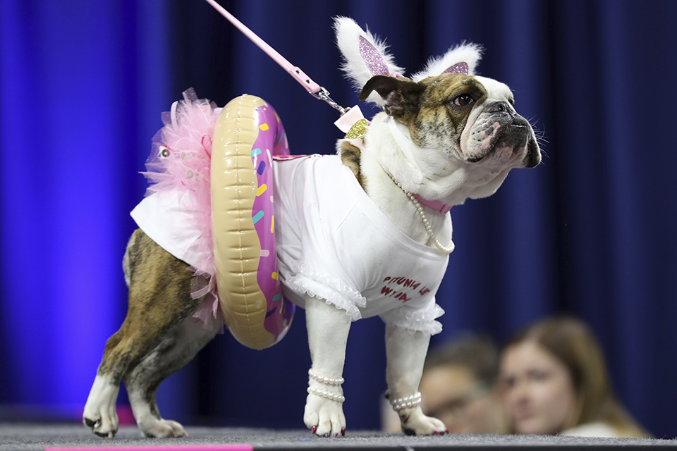 φωτογραφήματα-2312988