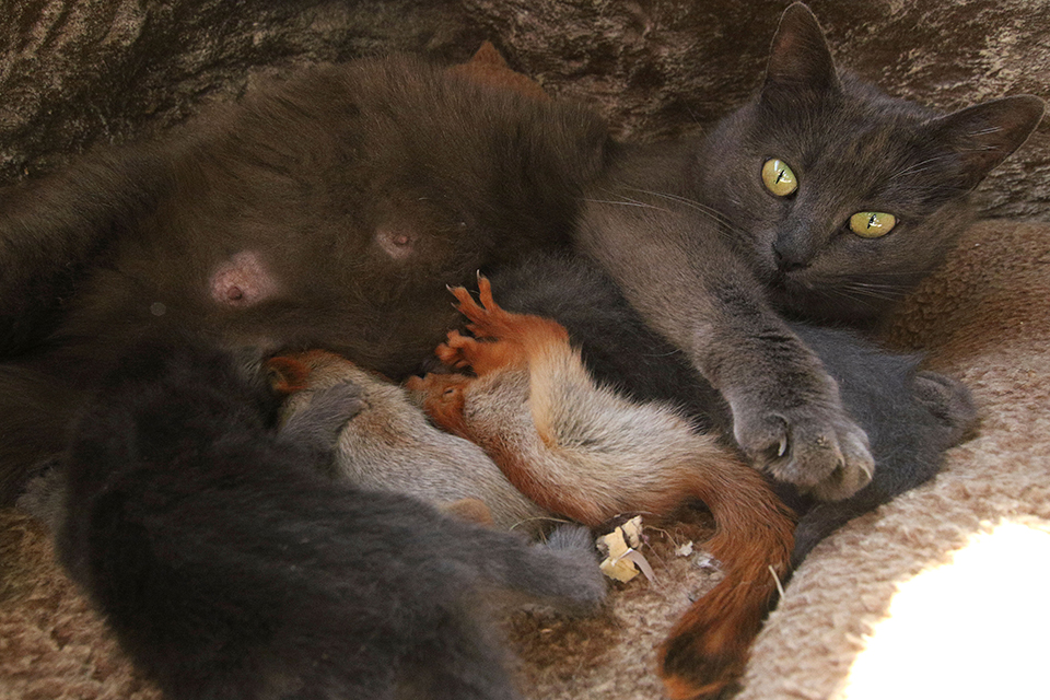 φωτογραφήματα-2313365