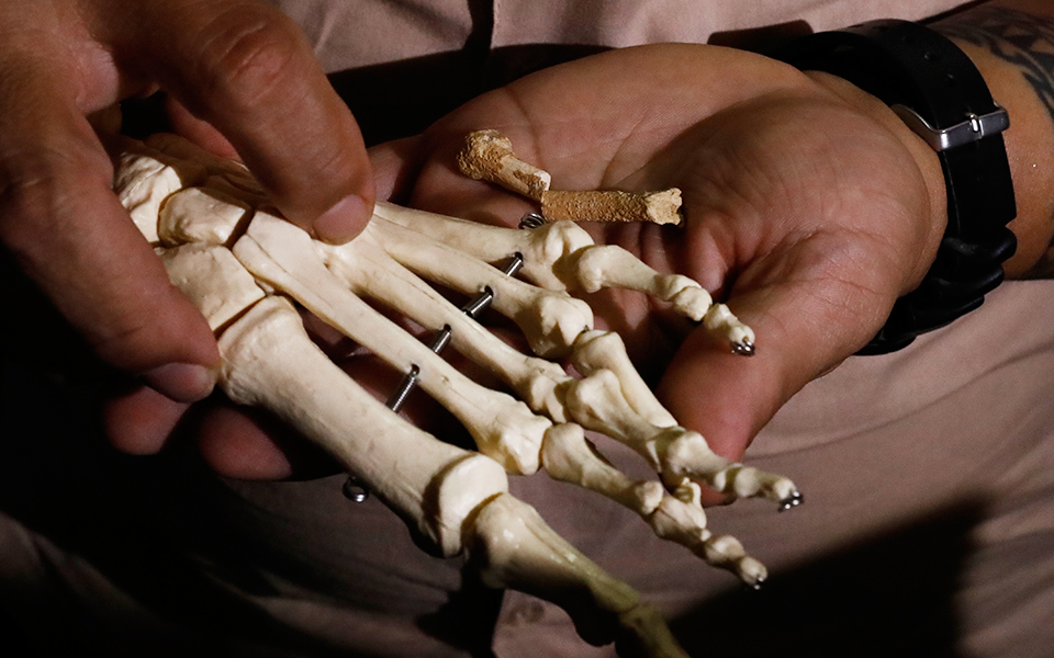 homo-luzonensis-νέο-μέλος-στο-δένδρο-του-ανθρώπου-2310464