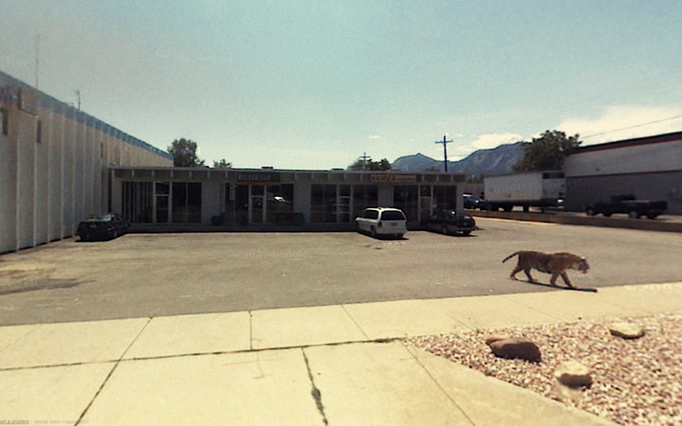 η-πολιτιστική-ατζέντα-της-τρίτης-2311509