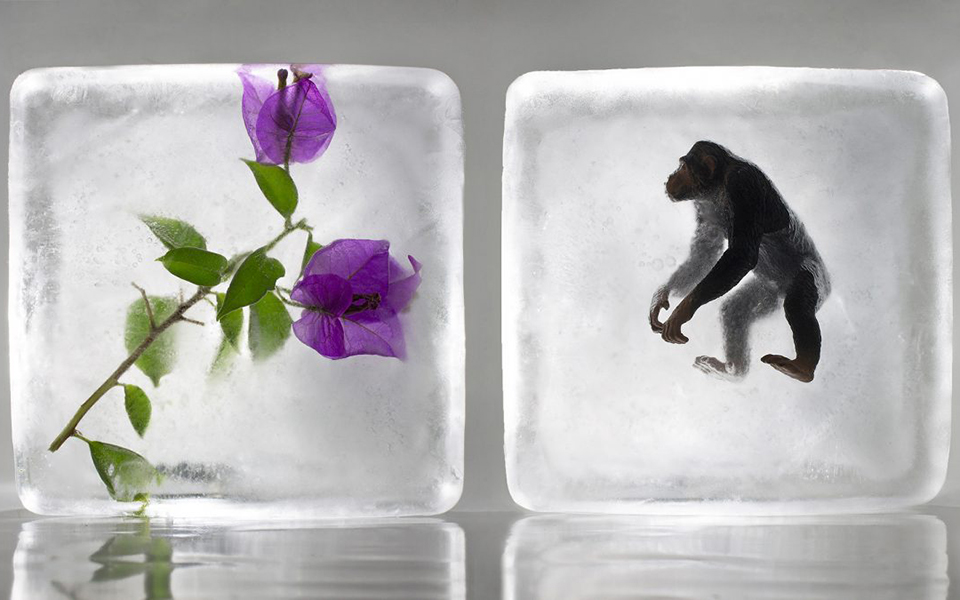 η-πολιτιστική-ατζέντα-της-πέμπτης-2311908