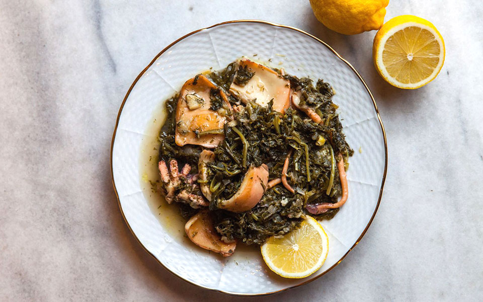 σηπία-η-μελανηφόρος-2312835