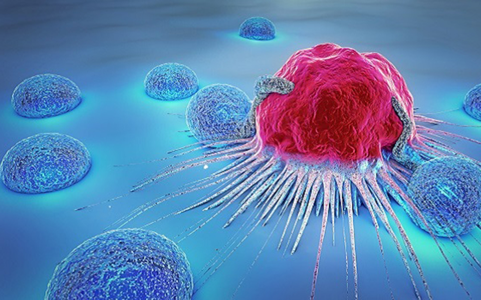 δεκάδες-χιλιάδες-άγνωστους-θαλάσσιο-2313344