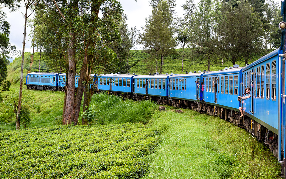 επικίνδυνες-σέλφι-2312196