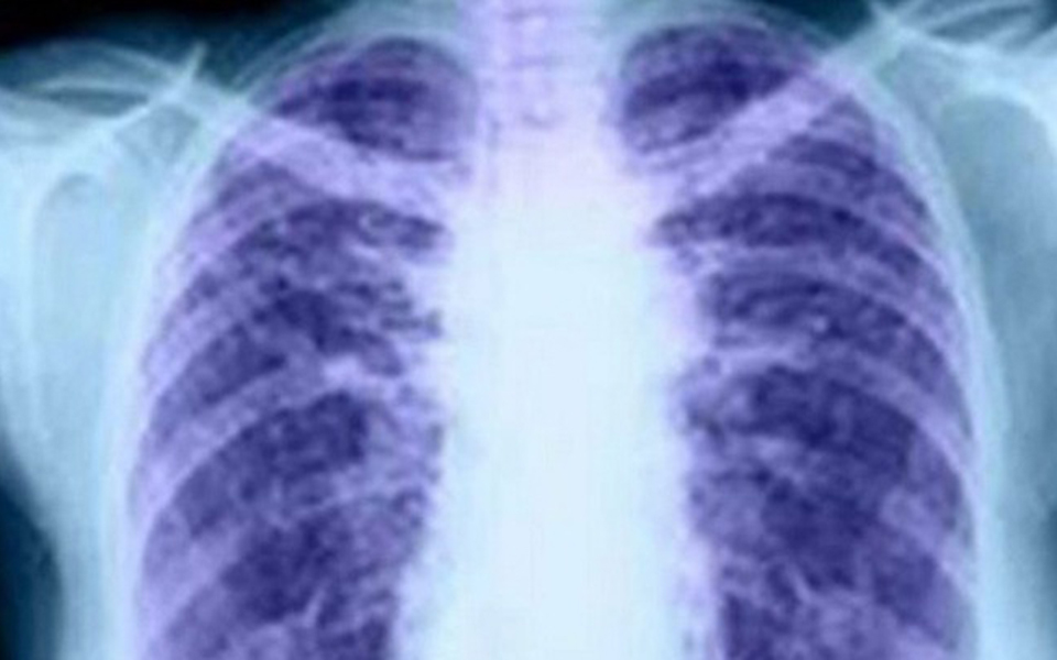 επιστήμονες-στη-γερμανία-δημιούργησ-2313225