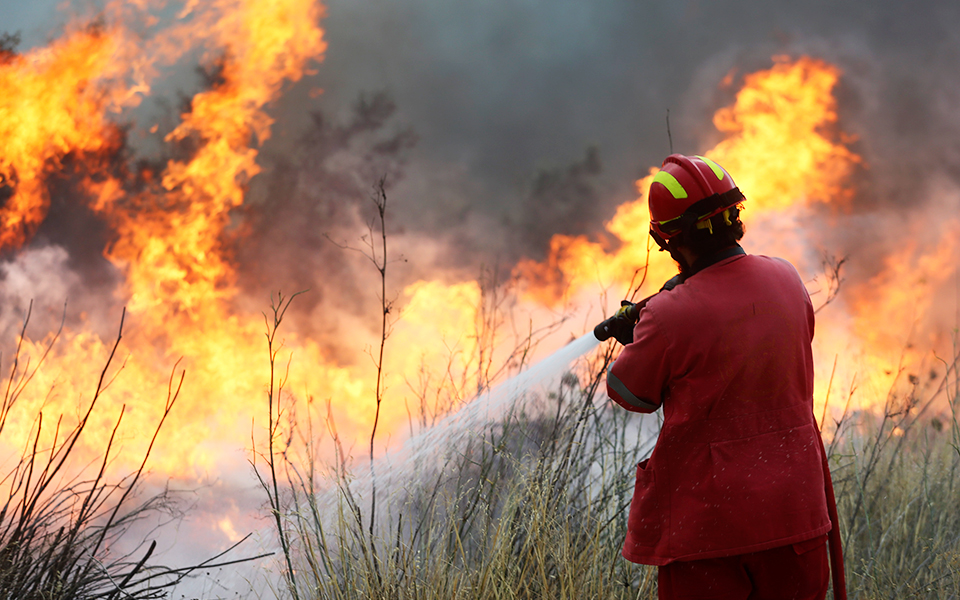 αναδιάρθρωση-της-πολιτικής-προστασί-2314206