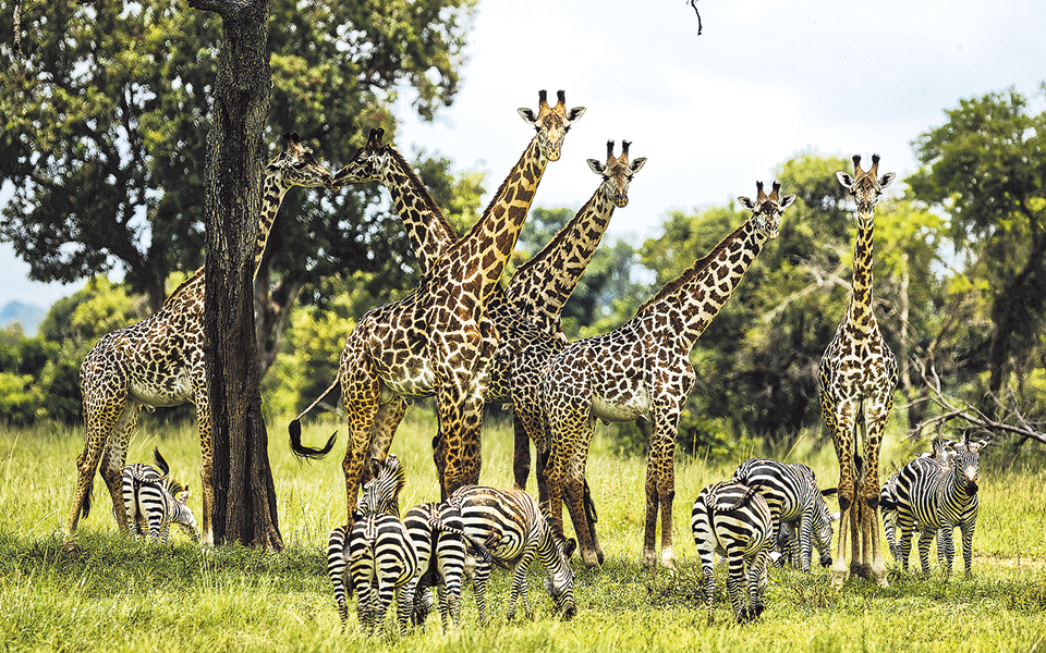 ο-ανθρωπος-απειλεί-τον-ανθρωπο-2314822