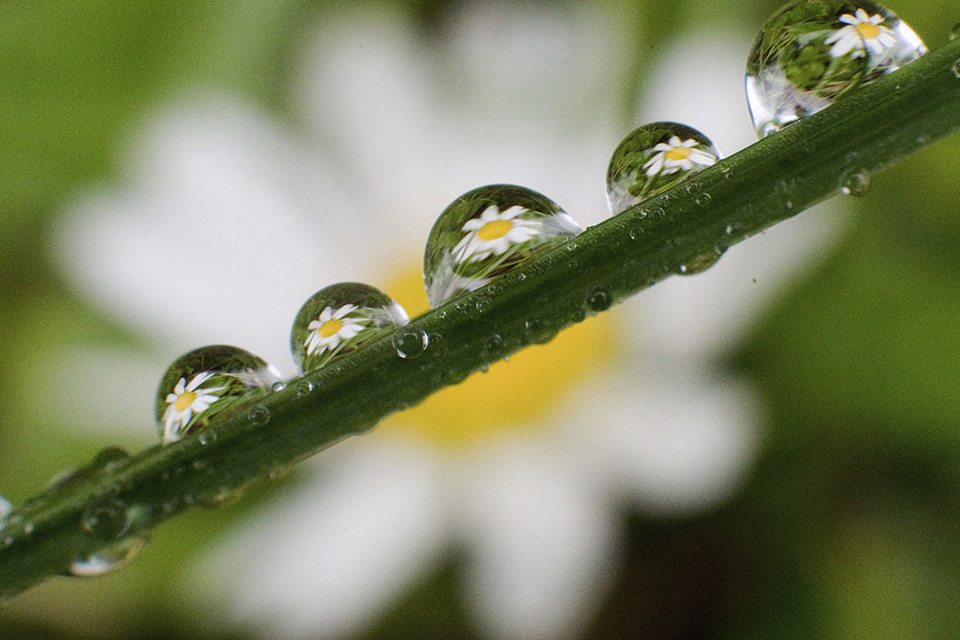 φωτογραφήματα-2317513