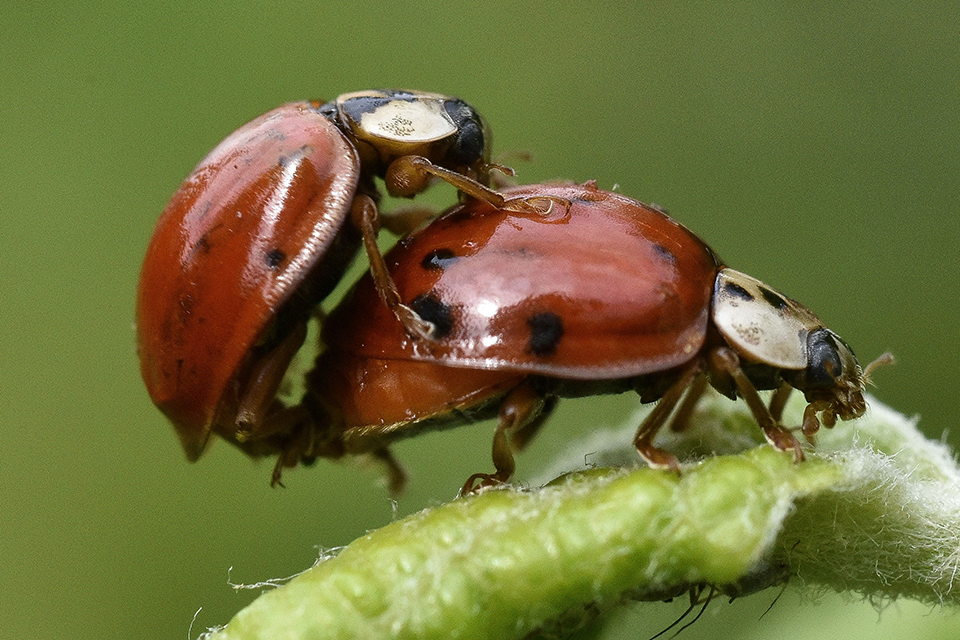 φωτογραφήματα-2318407