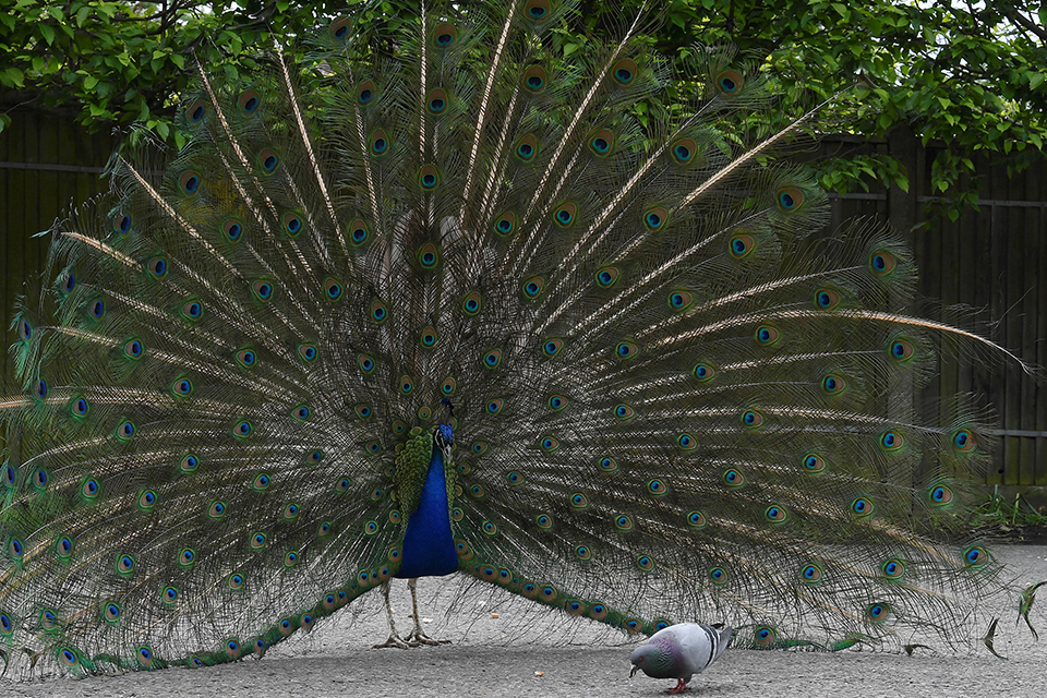 φωτογραφήματα-2315551