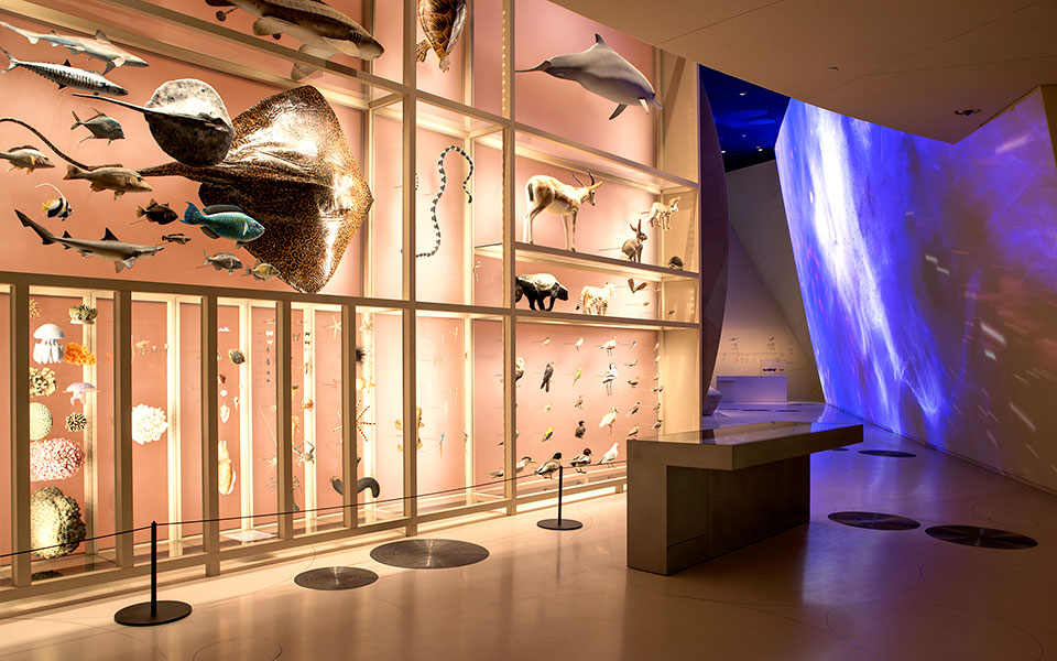 το-ρόδο-του-κατάρ-2315227