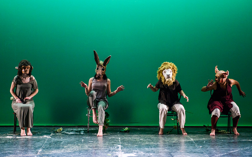 η-γενιά-της-περφόρμανς-δημιουργεί-θέ-2315439