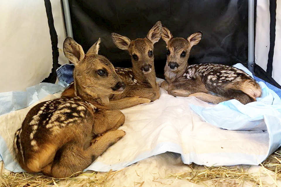 φωτογραφήματα-2317137