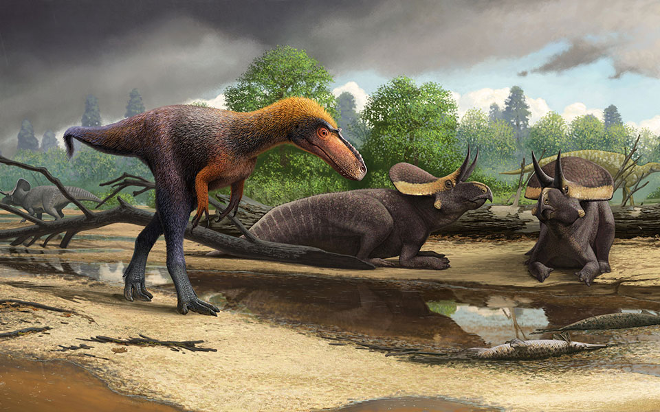 ηπα-ανακαλύφθηκε-νέο-είδος-τυραννόσα-2314767