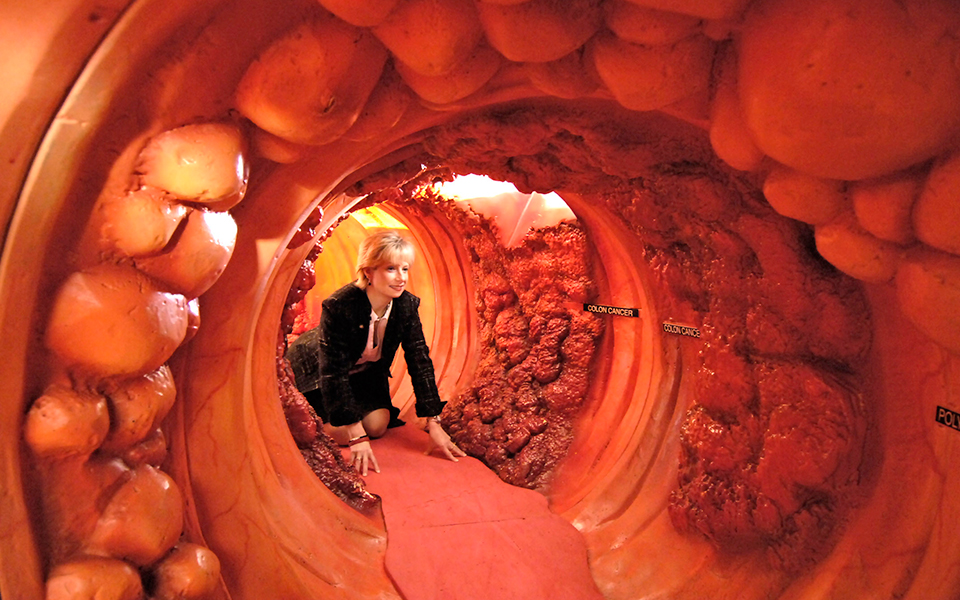 αγχολυτικό-το-μικροβίωμα-του-εντέρου-2317553