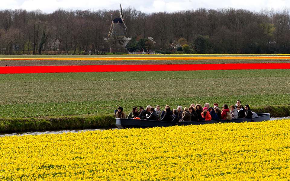 από-την-ποσότητα-στην-ποιότητα-2315843