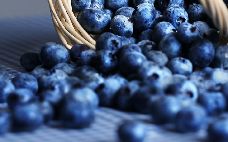 ερευνα-ευεργετική-για-τη-μείωση-των-κα-2319318