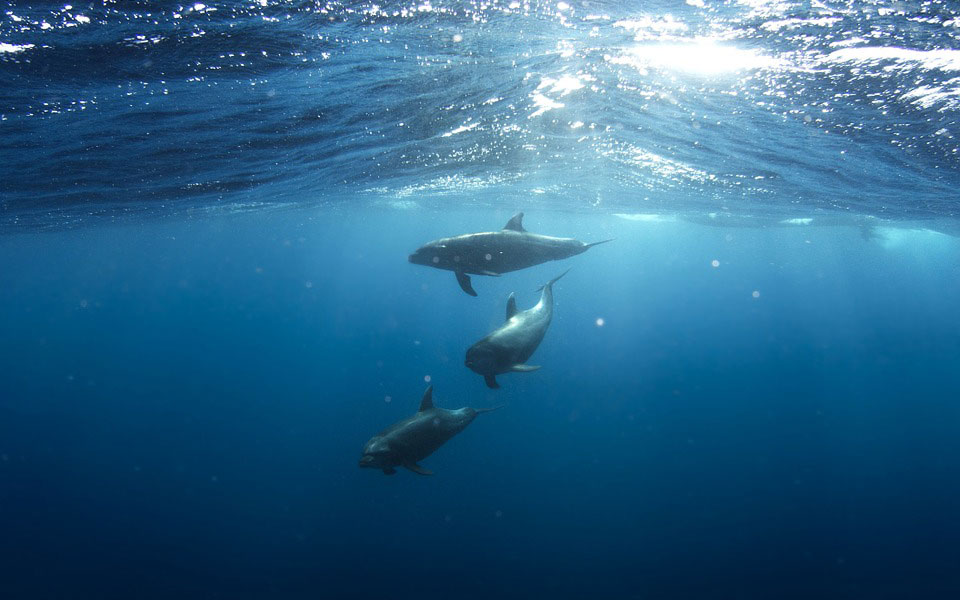 kατά-των-εξορύξεων-υδρογονανθράκων-στ-2315852