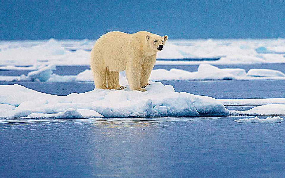 ο-πλανήτης-εκπέμπει-sos-2315673