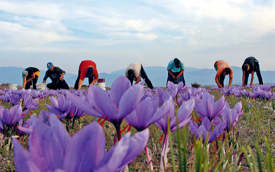 ντελικατέσεν-2314252