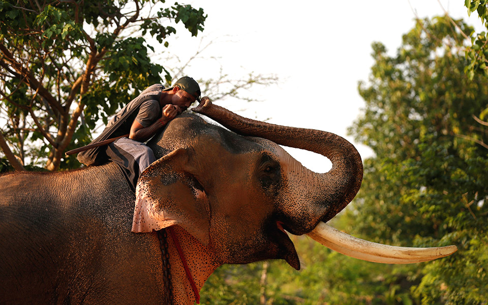 maha-sarakham-ταϊλάνδη-2314884