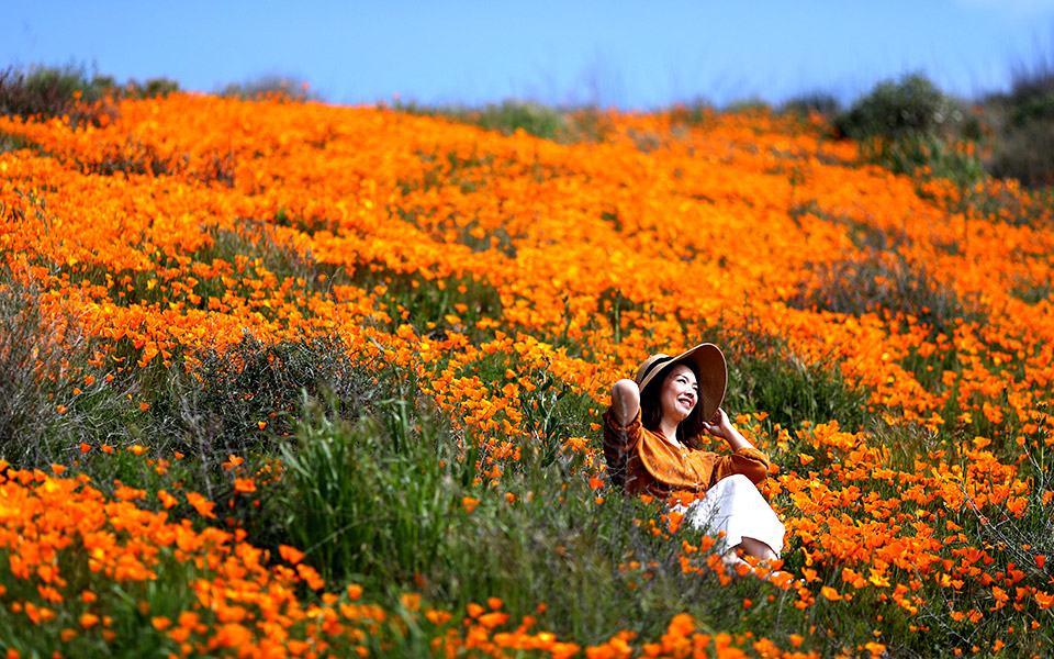 οι-καμβάδες-της-άνοιξης-2314615