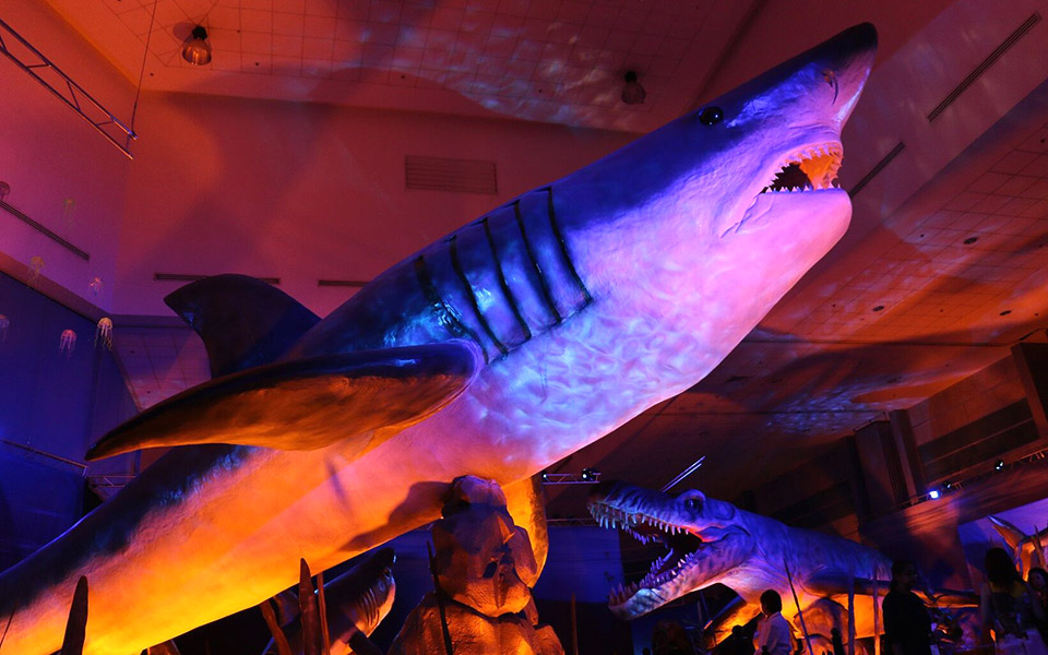 δεινόσαυροι-και-τέρατα-των-θαλασσών-2314829