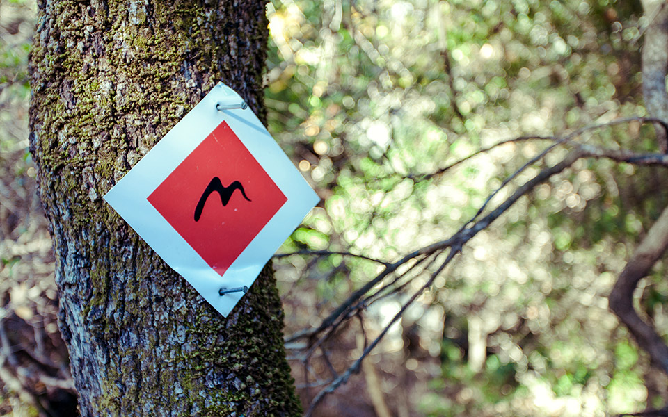 ελληνική-διάκριση-2317801