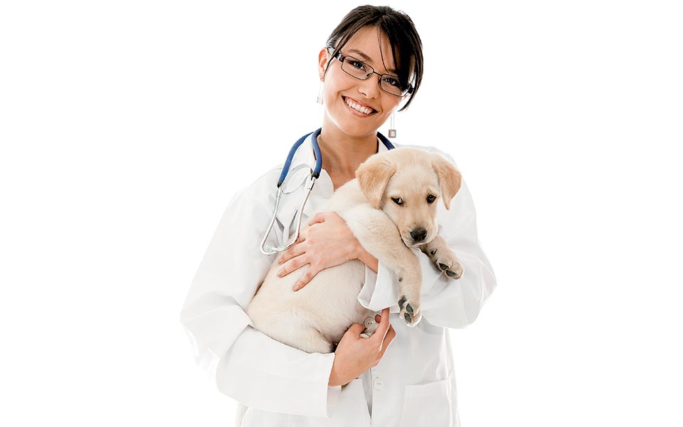 οι-ψεκασμένοι-της-φιλοζωίας-2315304