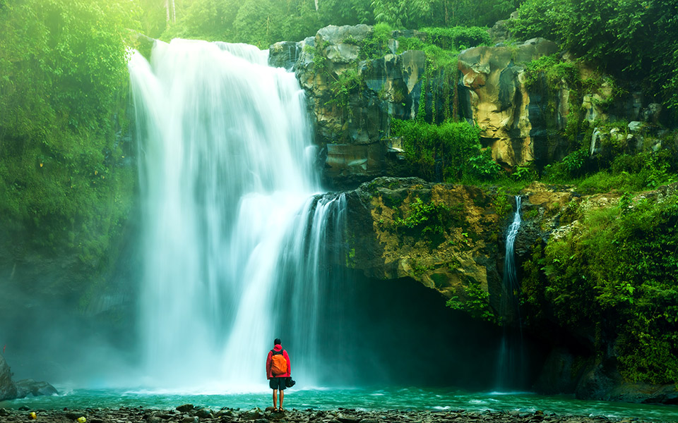 ένας-οικολογικός-παράδεισος-2317803