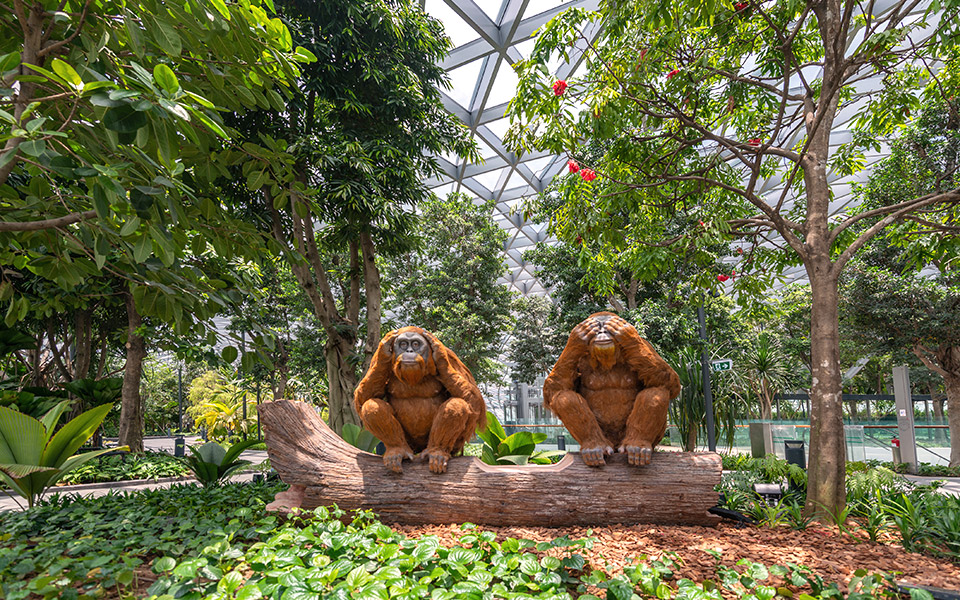 κόμβος-ψυχαγωγίας-2317043