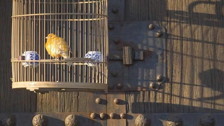 ρώσοι-επιστήμονες-ανακάλυψαν-το-μυσ-2315106