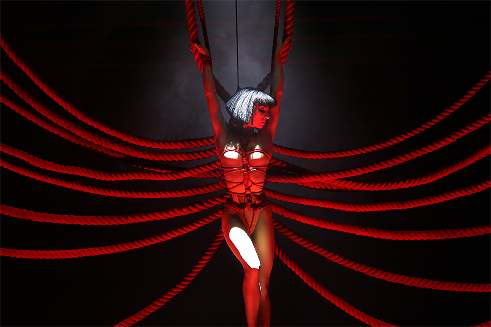 φωτογραφήματα-2324165