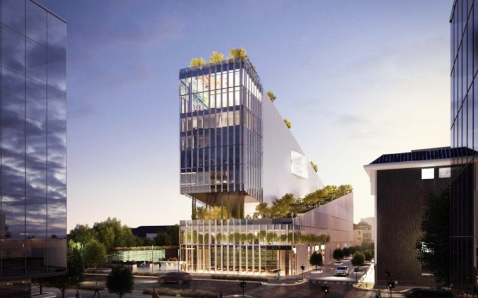 ενας-αστικός-αμπελώνας-στην-καρδιά-2322705