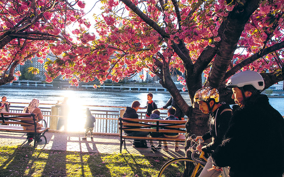 νέα-υόρκη-πάντα-νέα-2323748