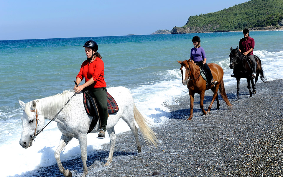 διακοπές-με-θέμα-2324120