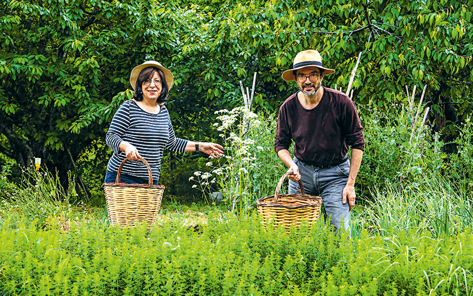 στο-βουνό-με-μαγιό-2324493