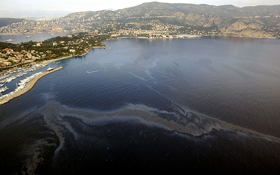 wwf-η-γαλλία-είναι-ο-μεγαλύτερος-παραγωγ-2321255