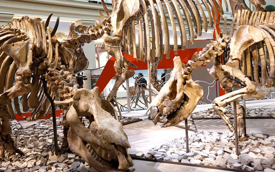 πάρκο-με-δεινόσαυρους-2321590