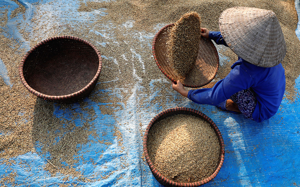 όσα-δεν-άλλαξε-ο-χρόνος-2322360