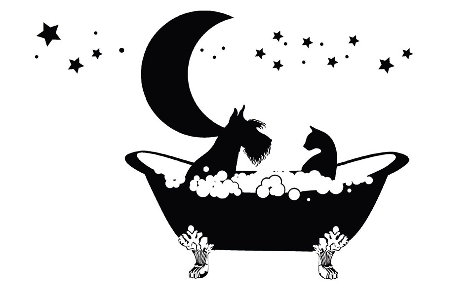 η-πάλη-για-το-13ο-σνακ-2324248