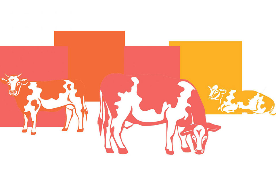 ένα-γιουβέτσι-για-τη-βασίλισσα-2320142