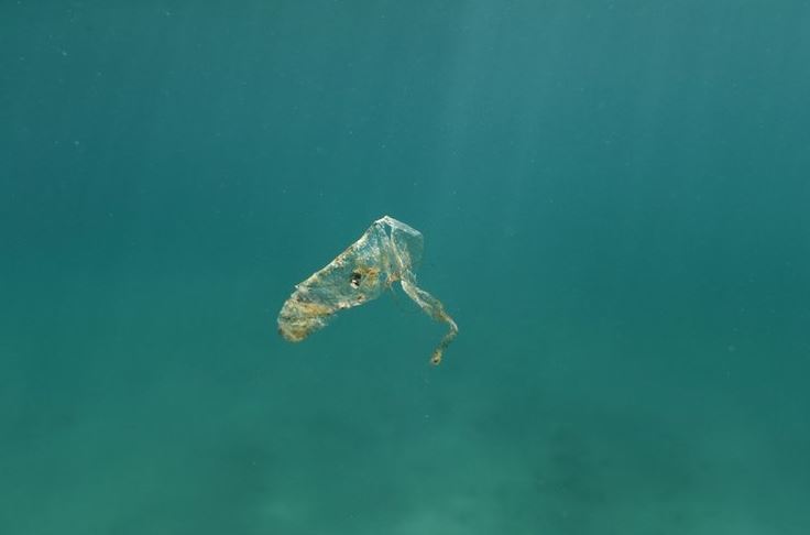 wwf-σε-επίπεδα-ρεκόρ-η-πλαστική-ρύπανση-σ-2321118