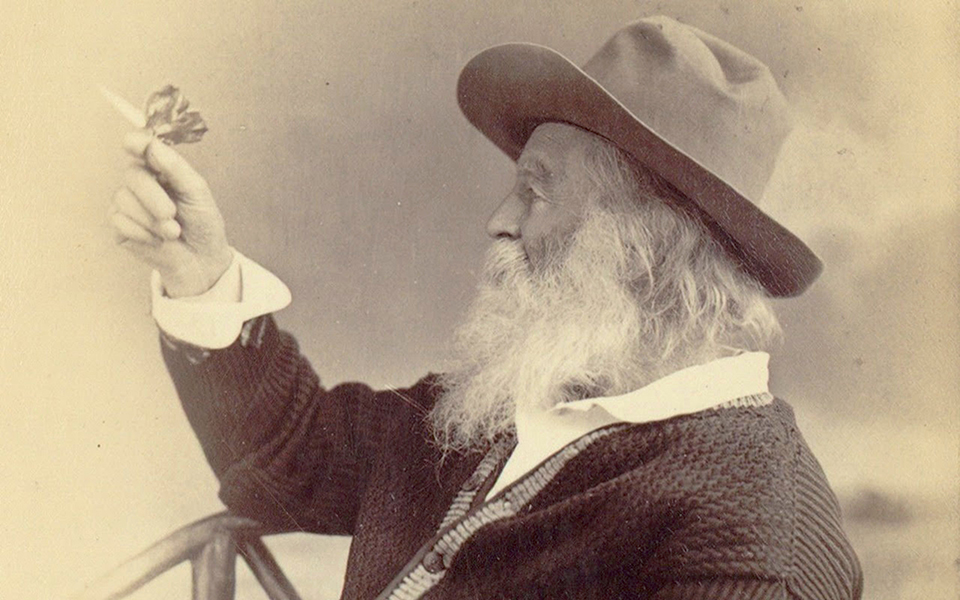 ματιές-στον-κόσμο-2321195