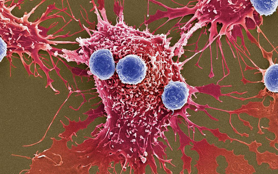 νέα-αντικαρκινικά-όπλα-2326378