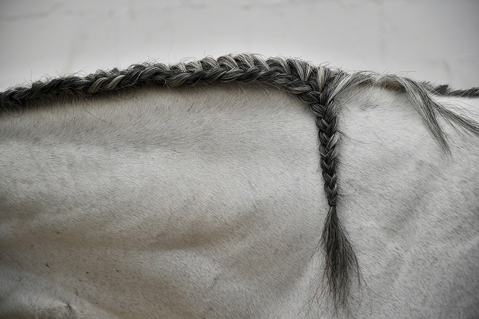 φωτογραφήματα-2326927