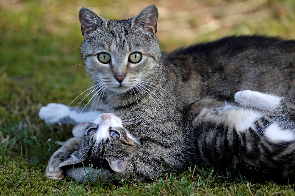 φωτογραφήματα-2327966